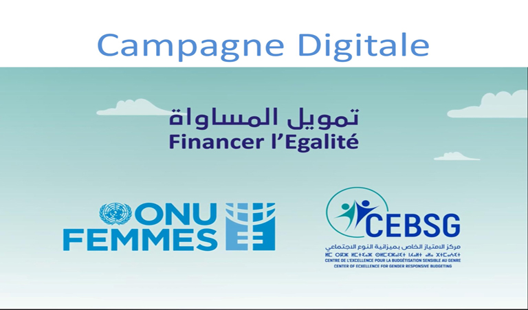 Campagne de communication digitale « Financer l’Egalité » - Edition 2020
