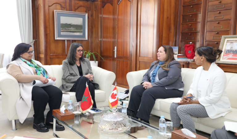 The Minister of Economy and Finance receives the Canadian Ambassador to Morocco