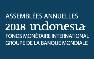 الاجتماعات السنوية للبنك الدولي وصندوق النقد الدولي